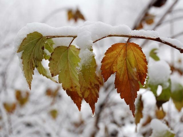 Про первый снег...
