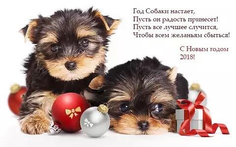 С Новым Годом!!!