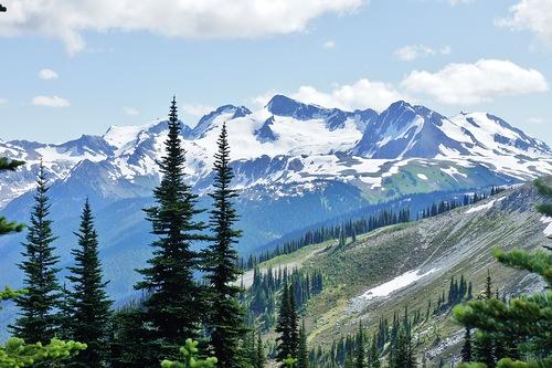 Я тебя найду...
