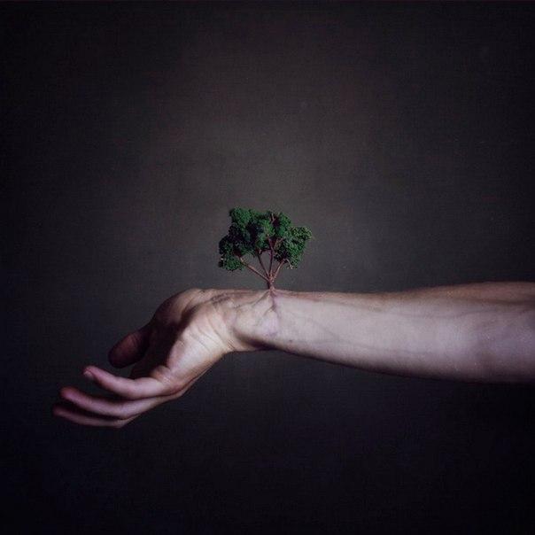 Одиннадцатая Заповедь.