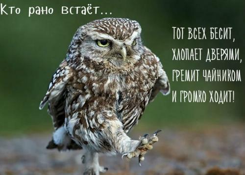 ВЗБЕСИТЬ С УТРА - МОЯ ЗАДАЧА:)) Стишки-порошки