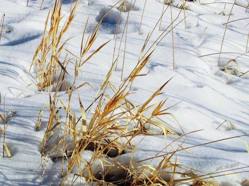 А снег упал сказуемым вчерашним.../конкурсное/