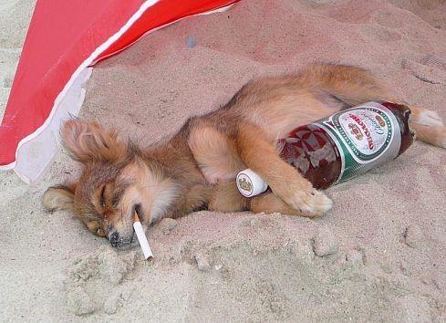 Отпраздновал первое олимпийское золото!