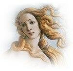 Соло на ребре