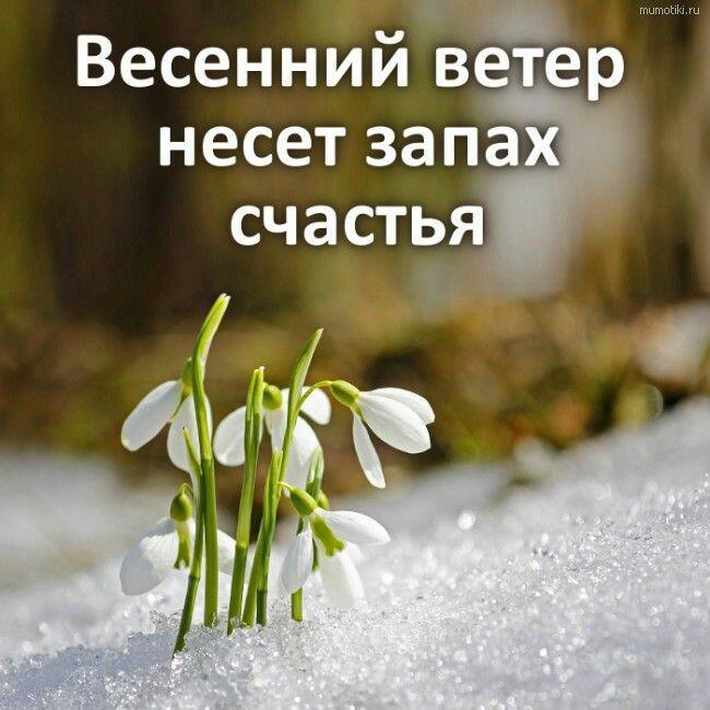 ВЕСЕННИЙ   ВЕТЕР