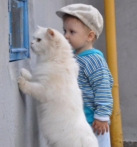 Мы играли с Васькой в прятки...