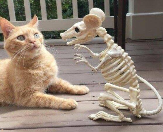 Я не люблю случайные знакомства.