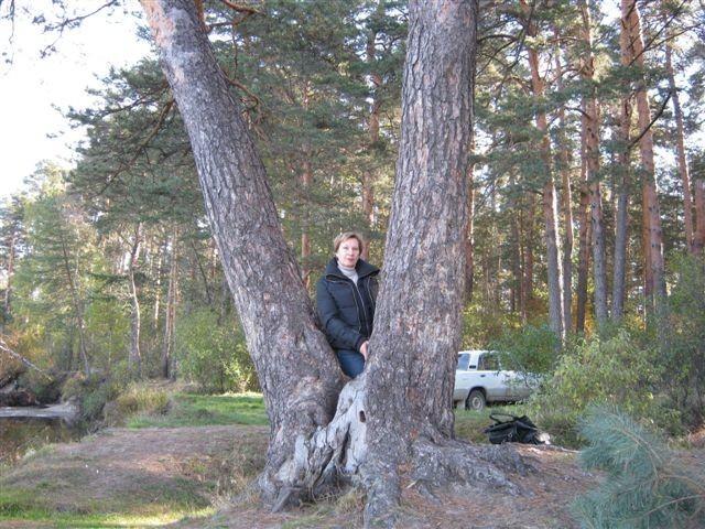 На любимом берегу