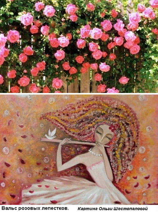 Вальс розовых лепестков