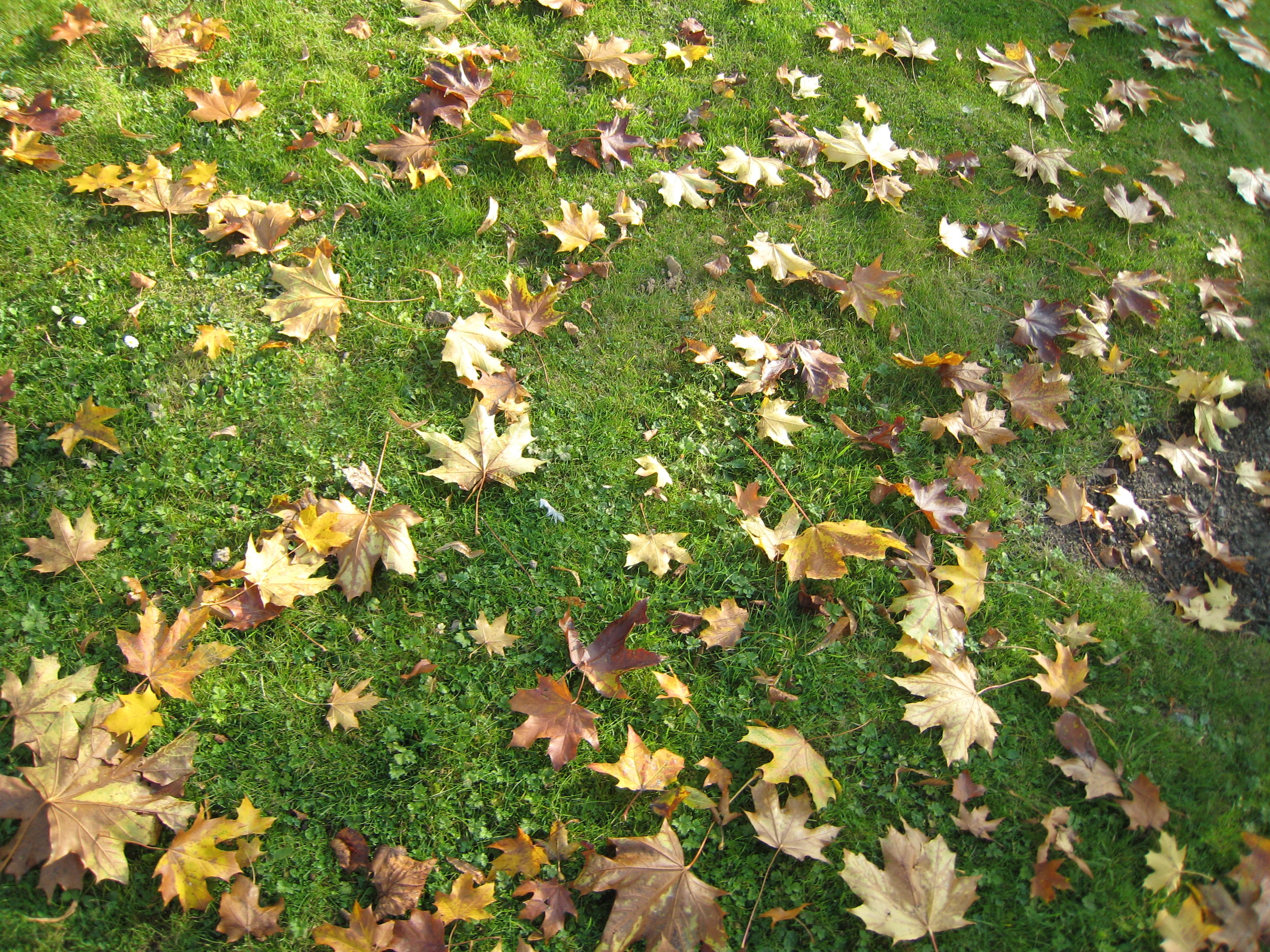 За секунду можно жизнь испортить