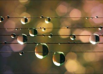 Мелодия дождя