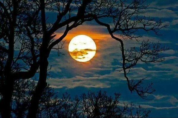 Луна зависла в небесах, как будто солнце