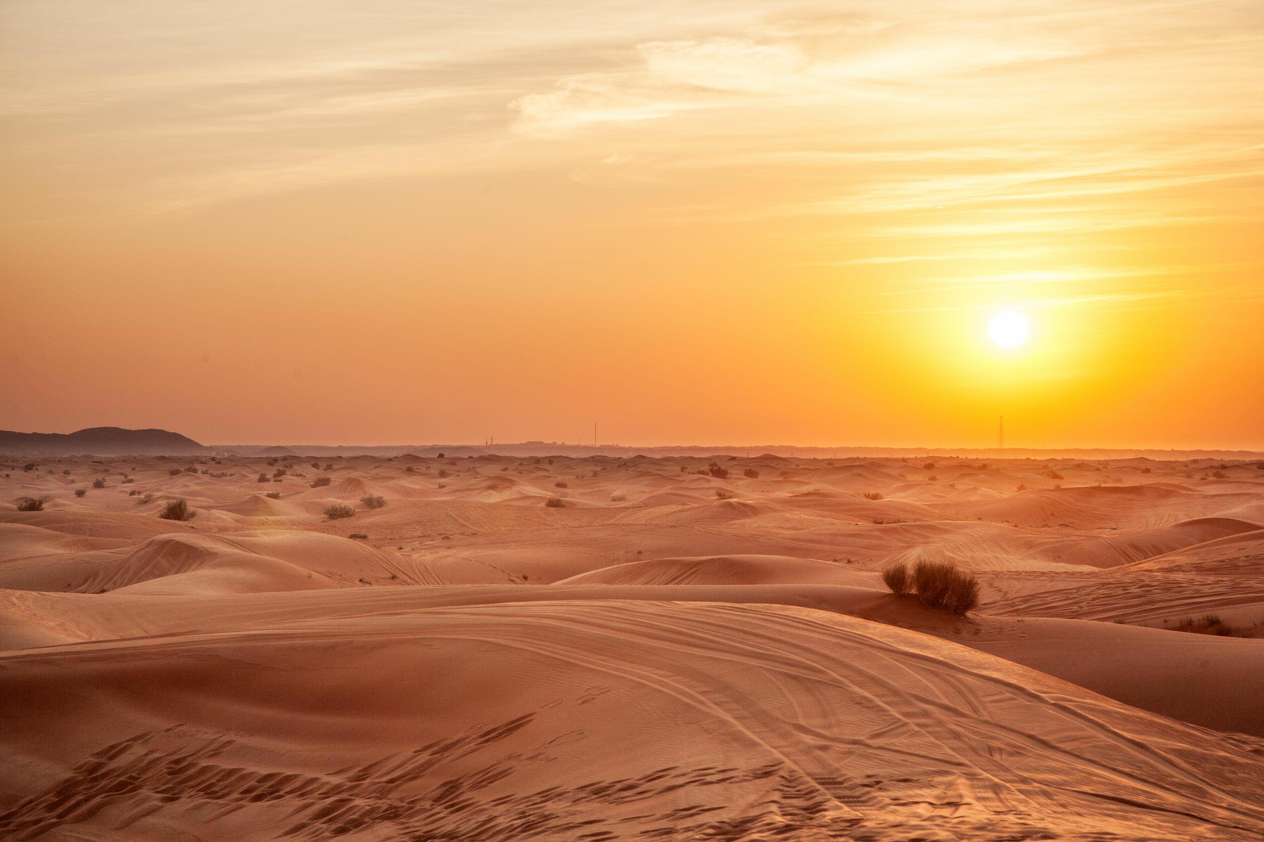 Hot desert. Пейзаж пустыни Кызылкум. Закат в пустыне. Рассвет в пустыне. Солнце в пустыне.