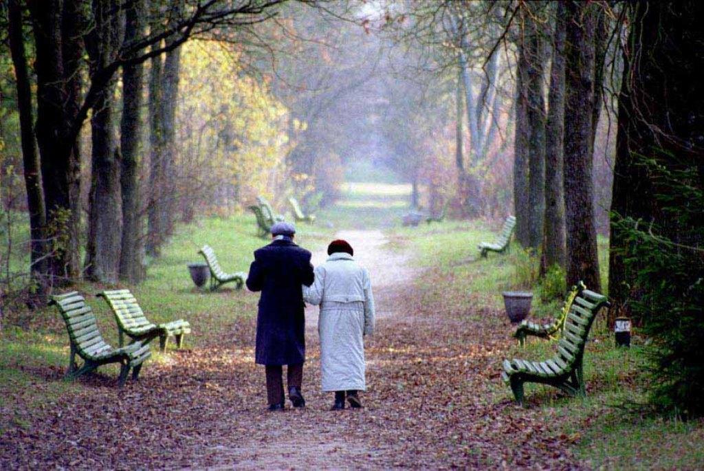 Шли по аллее парка. Старики в осеннем парке. Осень жизни. Старик на скамейке в осеннем парке. Осенний парк старики.