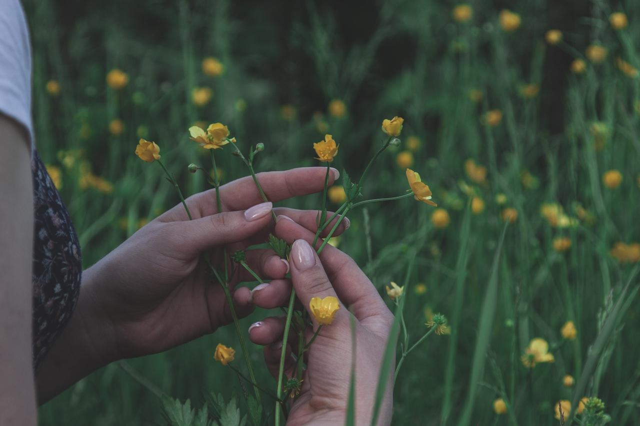 "Ты - вымысел мой,драгоценный..." (30.08.2018)
