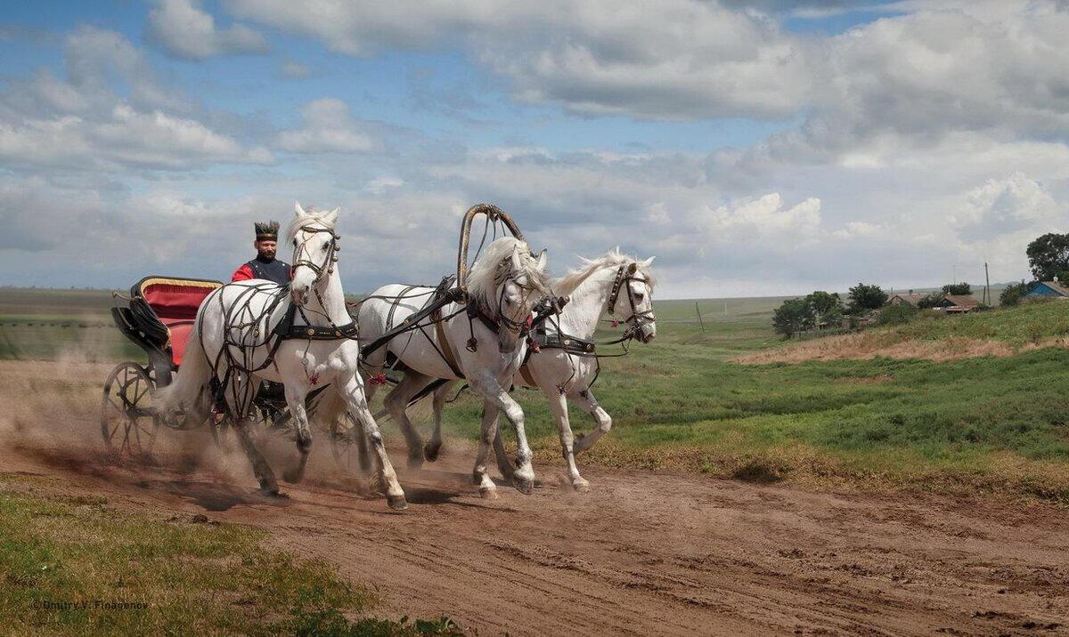 Тут одни ветра шальные