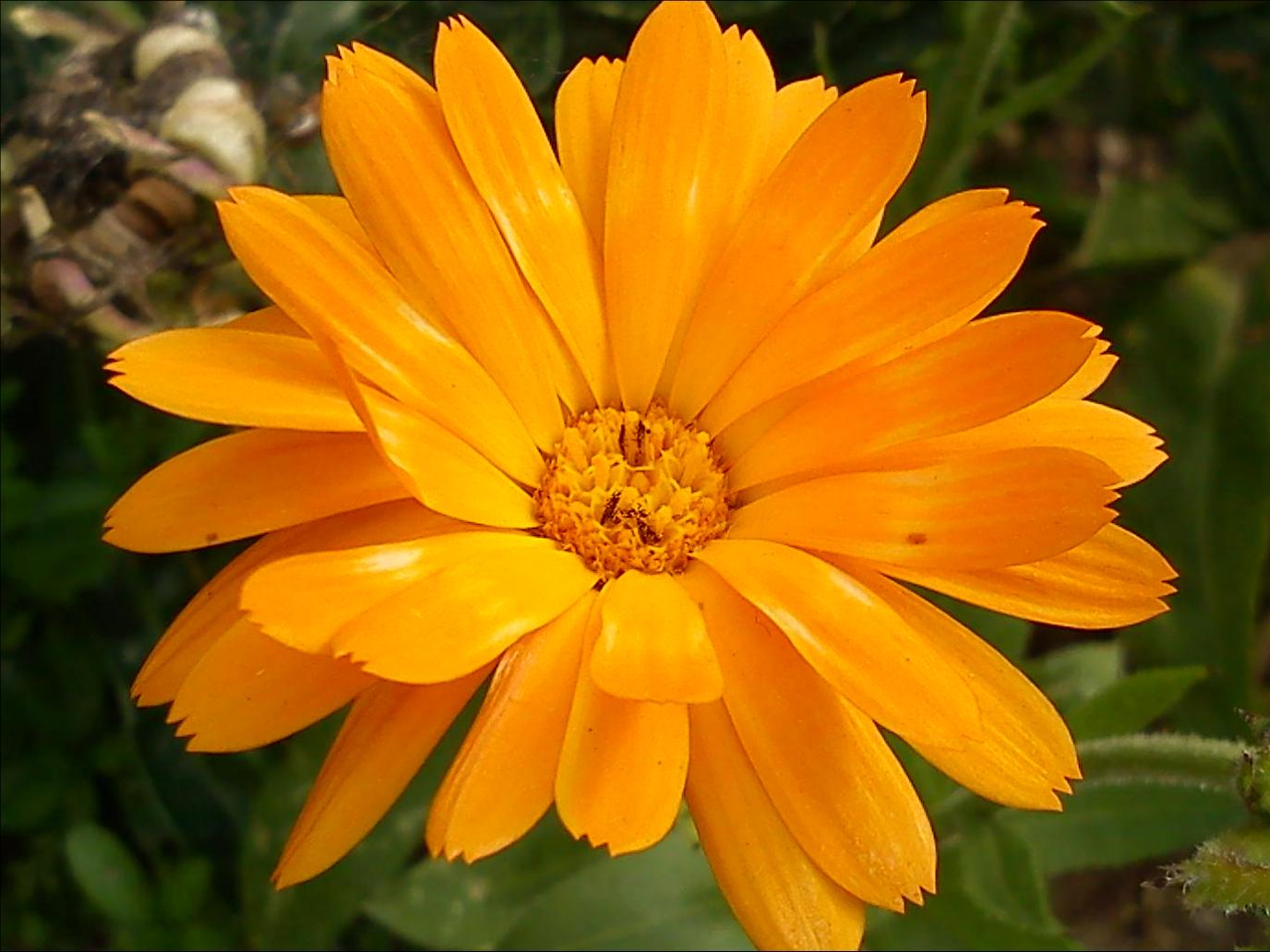 Притчи, глава 20 - перевод с иврита