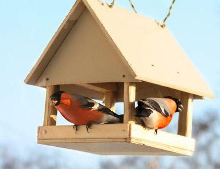 Странный домик.Загадка.