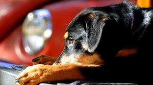 Опять не вместе.