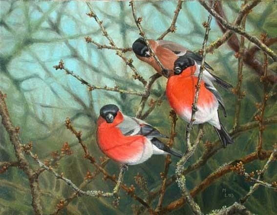 Мать и дитя... или... снегириная рапсодия...