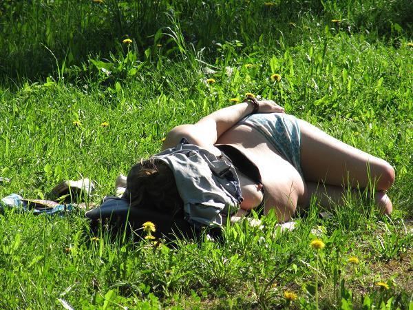 Всё к Солнцу тянется