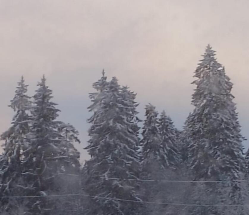 В ожидании весны