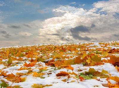 Покрасочные чудеса