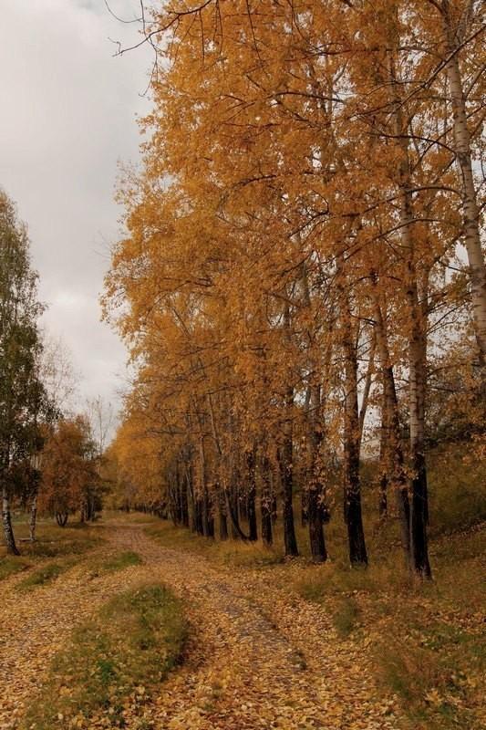 Осень ,прощальное