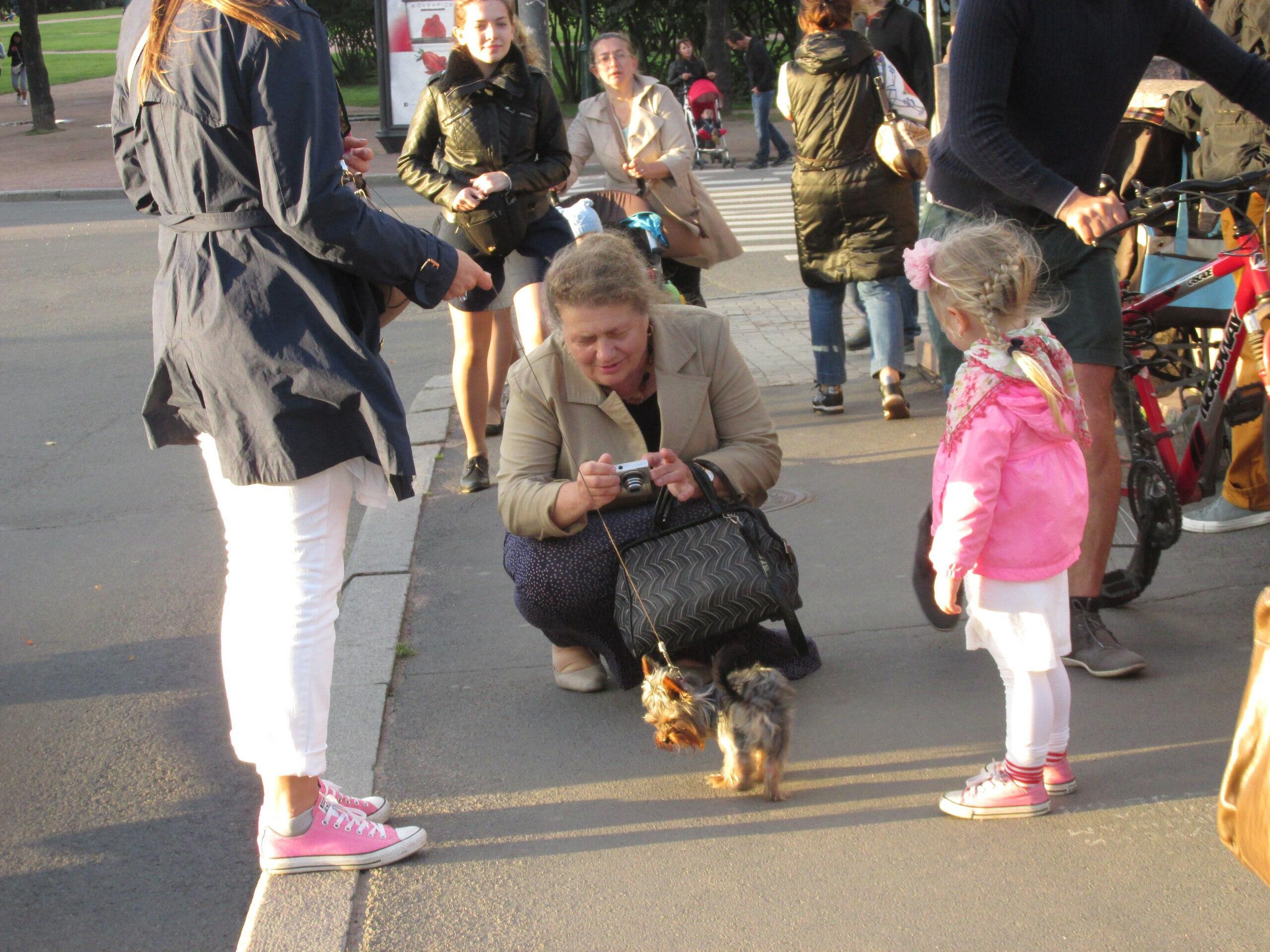 От чувства с признаком ума