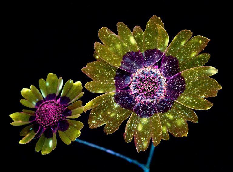 E=mc квадрат окружности