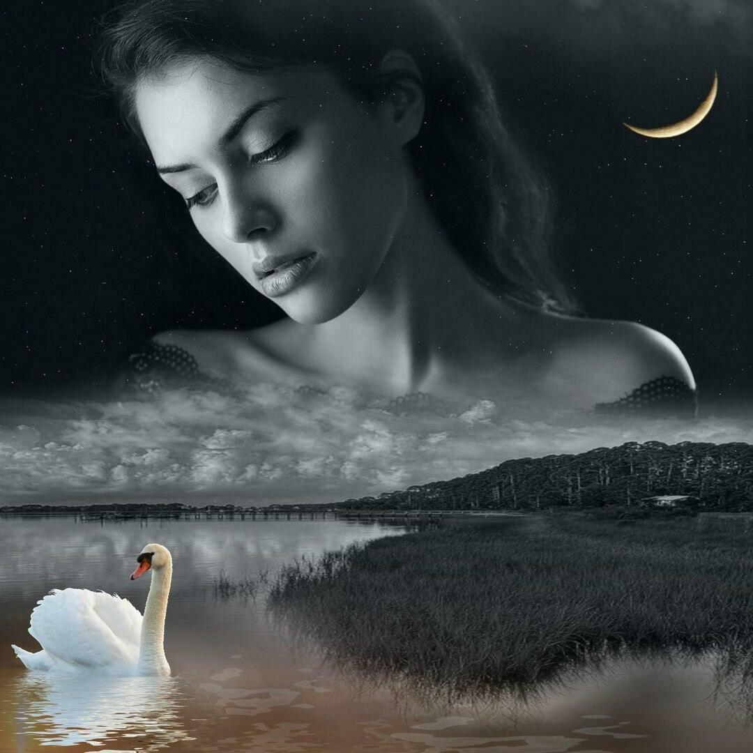 Неулыбчивые вечера