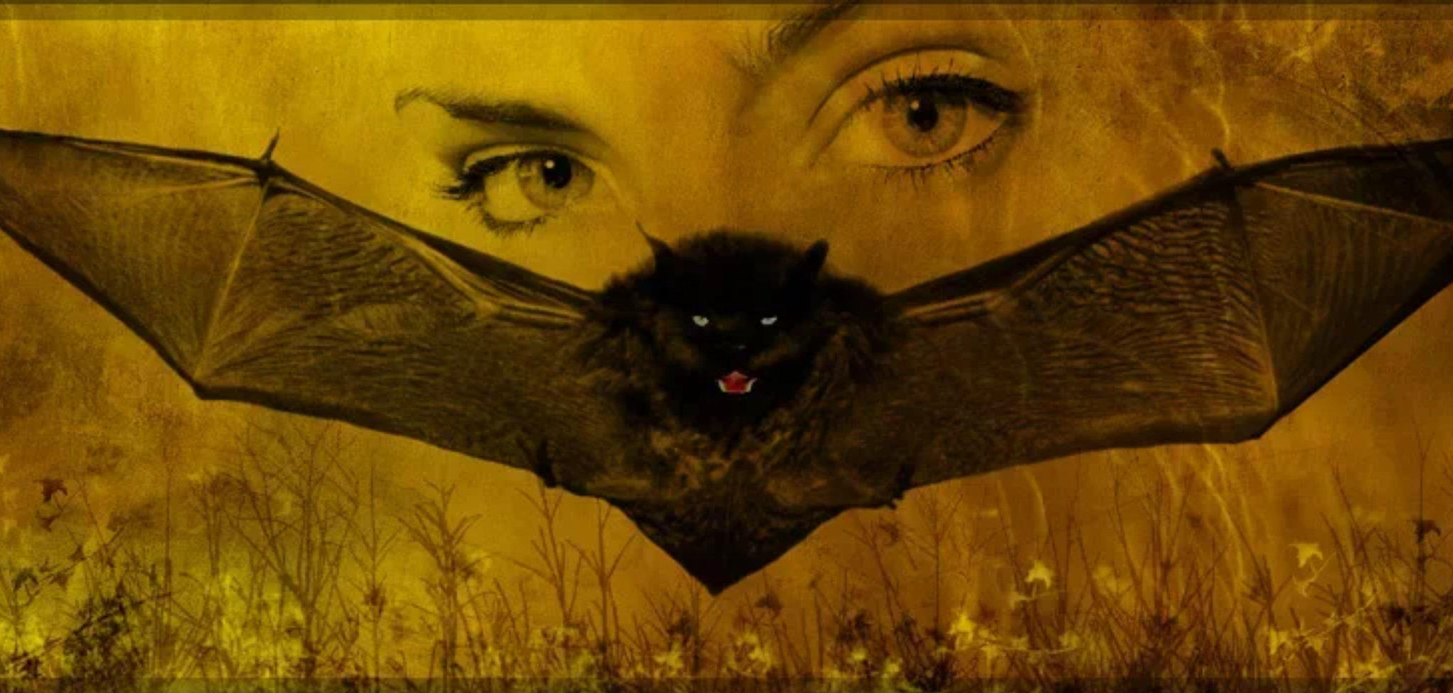 Ночная жрица.