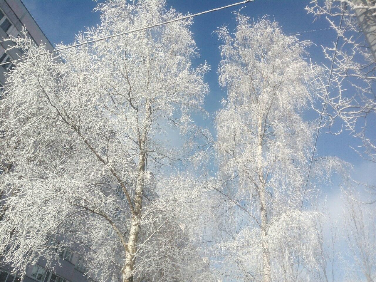 Предчувствие весны.