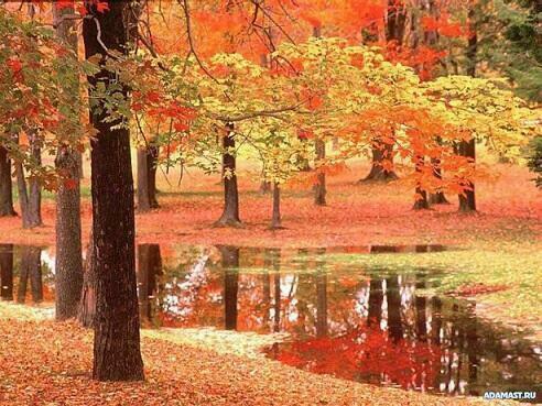 ОЧЕЙ ОЧАРОВАНЬЕ