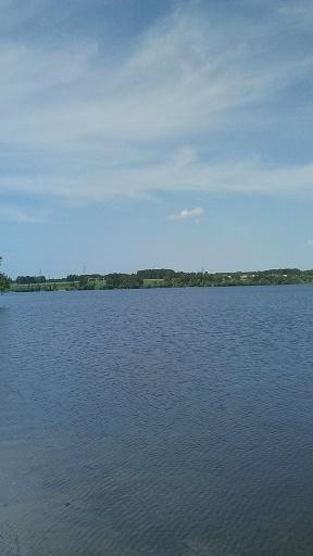 БЫВАЕТ ЛЮБОВЬ В УПАКОВКЕ...