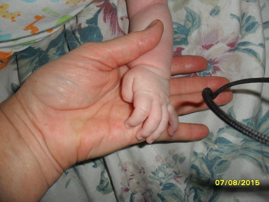 Тебя я ненавижу, не люблю...