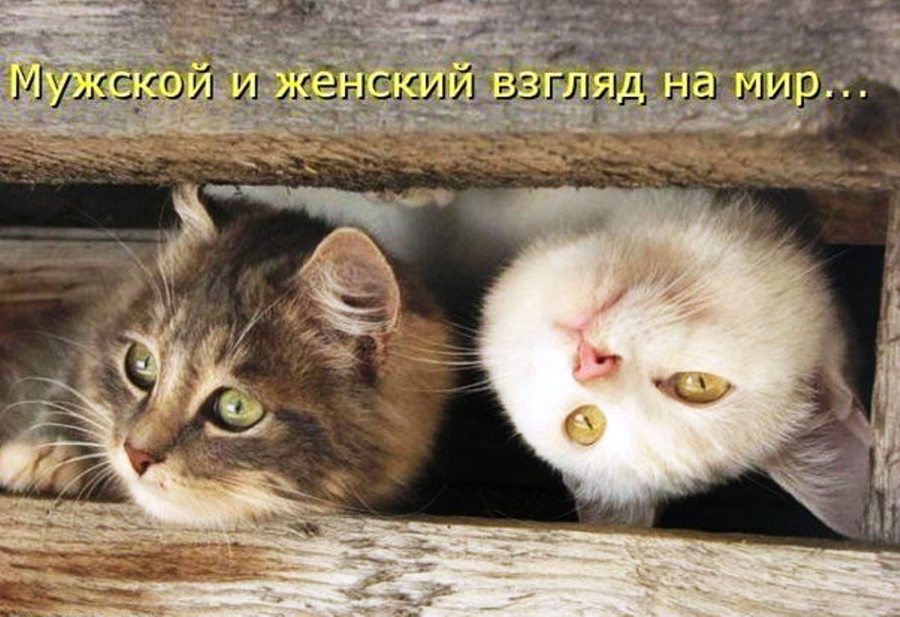 В половых сегодня треньях – странный парадокс.