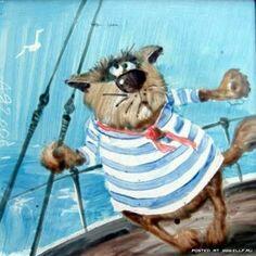 Шукають коти пригоди...