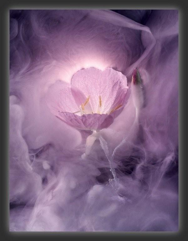 Ты мой дом и причал