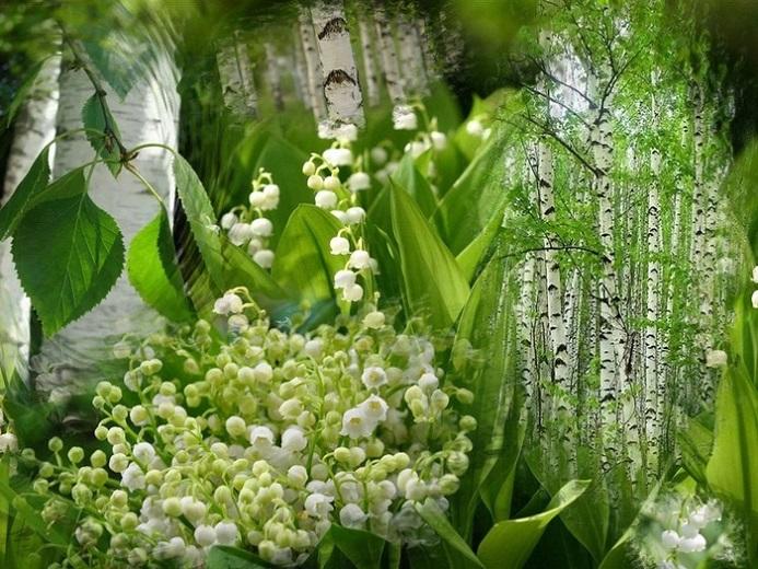 Чарующей порой