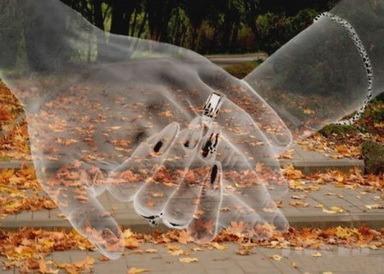 Дорога домой