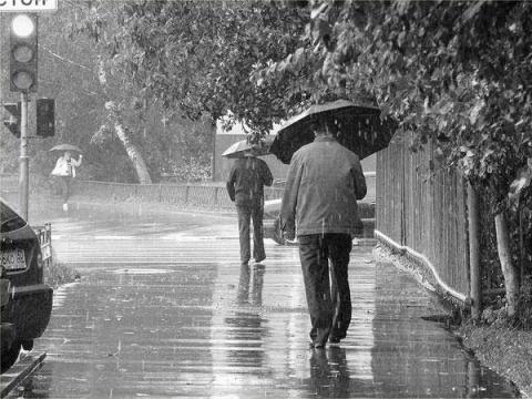 Лишь безумец