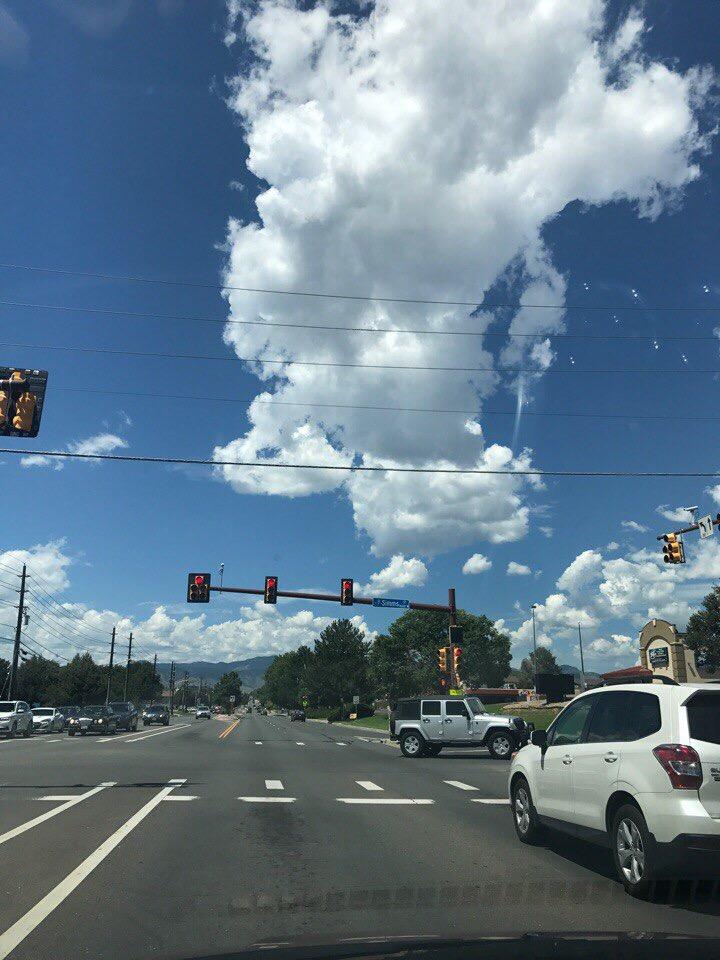 Вся жизнь твоя