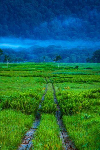 Хтонь синеглазого лета