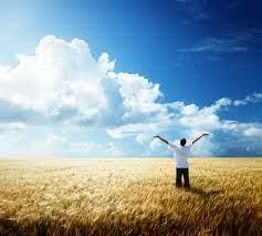 9-22   ПОЛЕ РОДНОЕ...