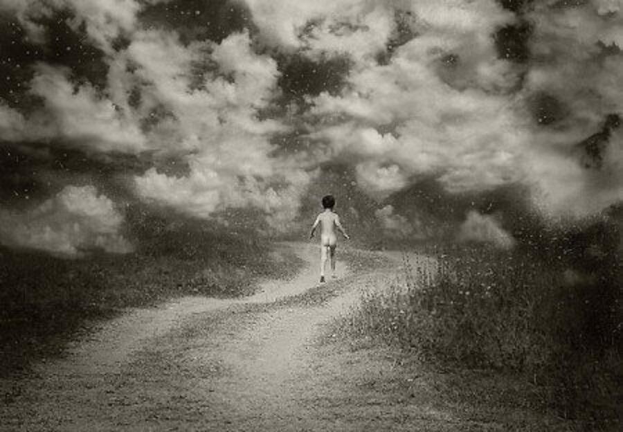 Душа нездешних нив жилица...