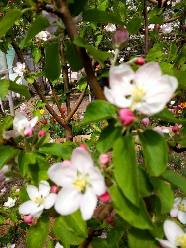 Утро выплеснулось солнышком