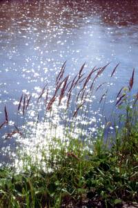 Треплет ветер память