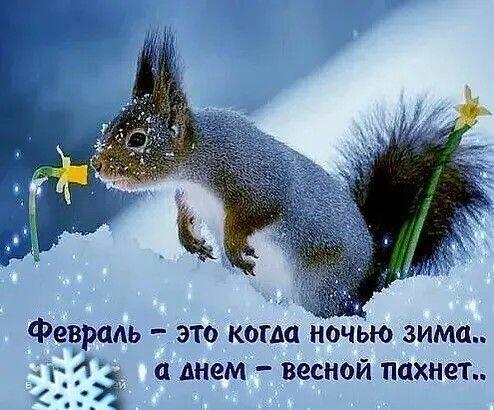 Реквием февралю