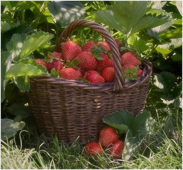 Июль на улице